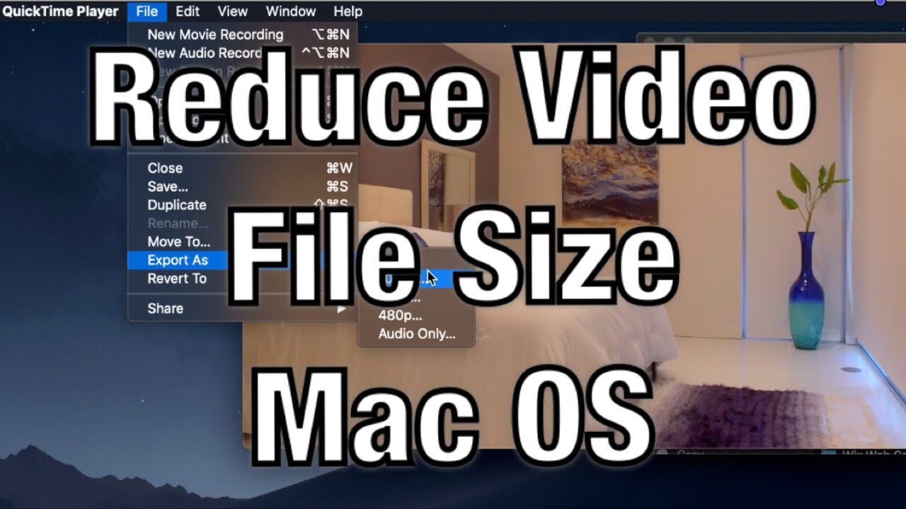 downsize video for web mac